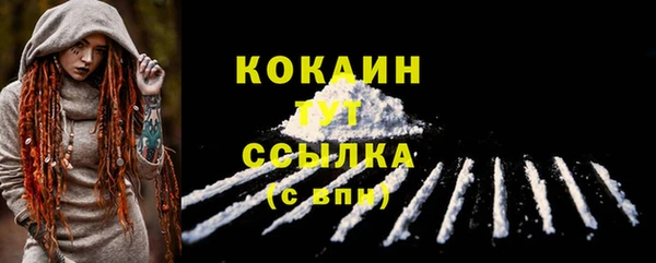 трава Белокуриха