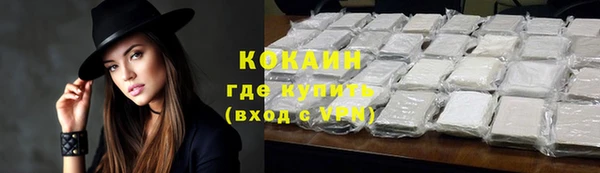трава Белокуриха