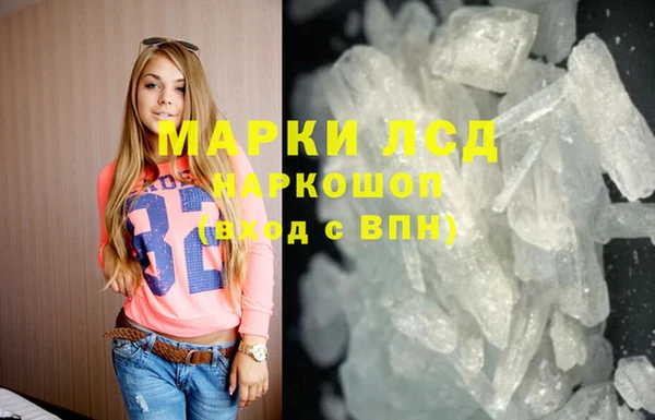 трава Белокуриха