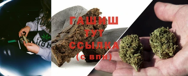трава Белокуриха